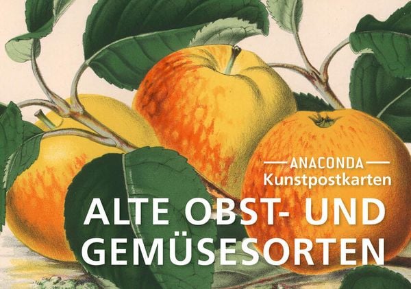 Produktbild: Postkarten-Set Alte Obst- und Gem&uuml;sesorten