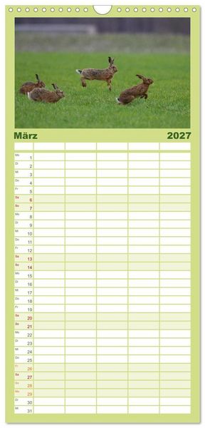 Produktbild: Familienplaner 2027 - Feldhasen in H&ouml;chstform mit 5 Spalten (Wandkalender, 21 x 45 cm) CALVENDO