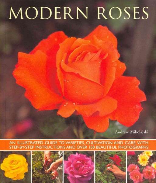 Produktbild: Modern Roses