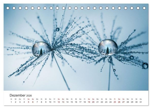 Produktbild: Der etwas andere Blickwinkel (Tischkalender 2026 DIN A5 quer), CALVENDO Monatskalender