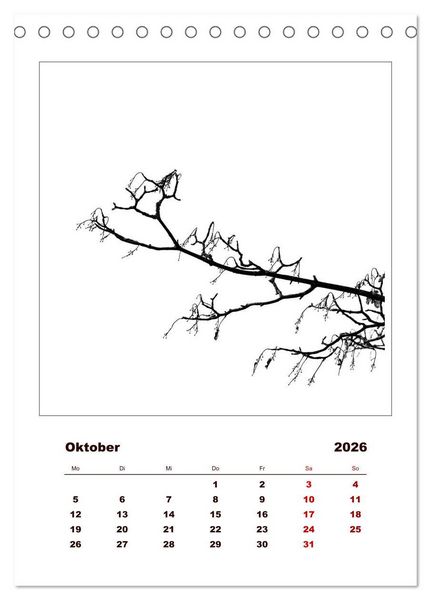 Produktbild: LignoGrafica - Muster und Strukturen der B&auml;ume (Tischkalender 2026 DIN A5 hoch), CALVENDO Monatskalender