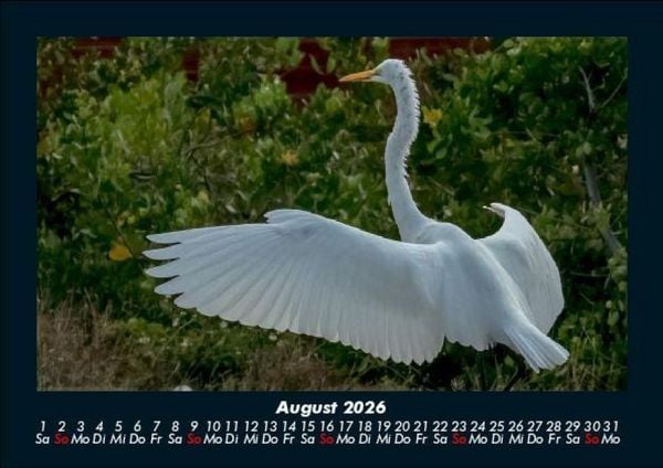 Produktbild: Welt der V&ouml;gel 2026 Fotokalender DIN A5