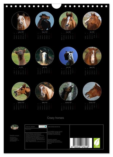 Produktbild: Crazy horses (Wandkalender 2026 DIN A4 hoch), CALVENDO Monatskalender