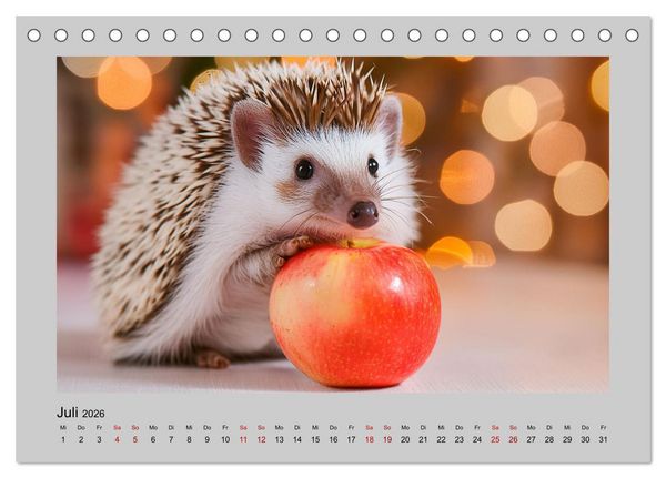 Produktbild: Mein Igel-Kalender (Tischkalender 2026 DIN A5 quer), CALVENDO Monatskalender