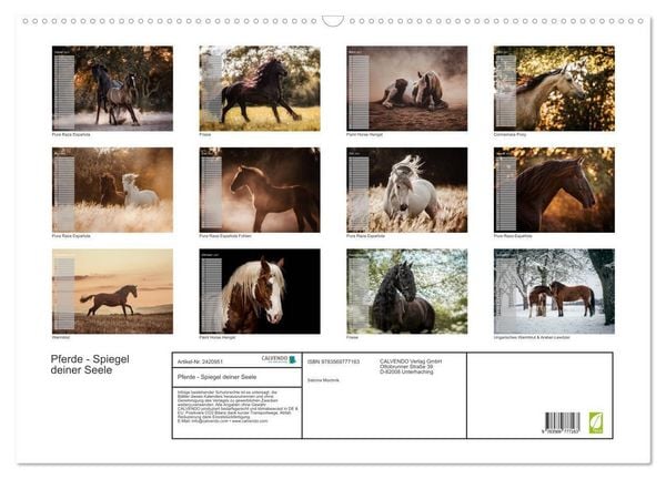 Produktbild: Pferde - Spiegel deiner Seele (Wandkalender 2027 DIN A2 quer), CALVENDO Monatskalender