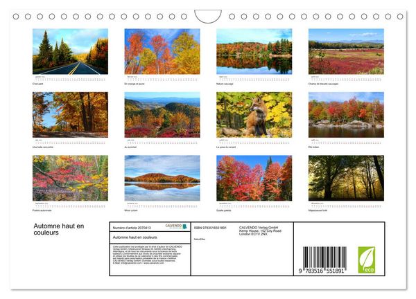 Produktbild: Automne haut en couleurs (Calendrier mural 2026 DIN A4 vertical), CALVENDO calendrier mensuel
