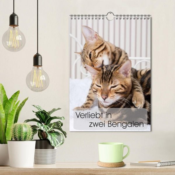 Produktbild: Verliebt in zwei Bengalen (Wandkalender 2026 DIN A4 hoch), CALVENDO Monatskalender