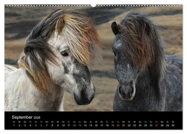 Produktbild: Island - wundervolle Weite (hochwertiger Premium Wandkalender 2026 DIN A2 quer), Kunstdruck in Hochglanz