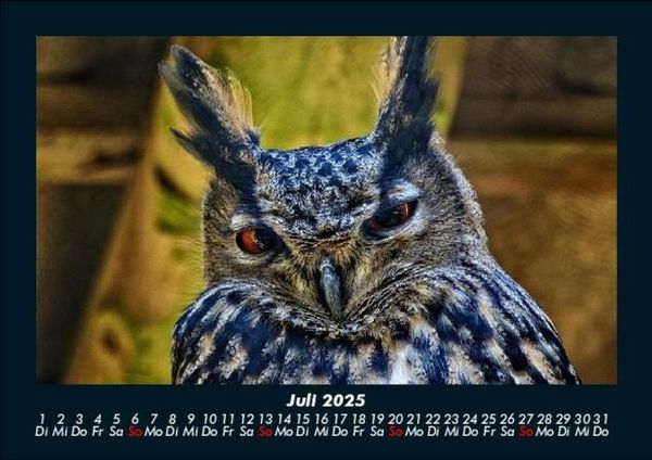Produktbild: V&ouml;gel 2025 Fotokalender DIN A5