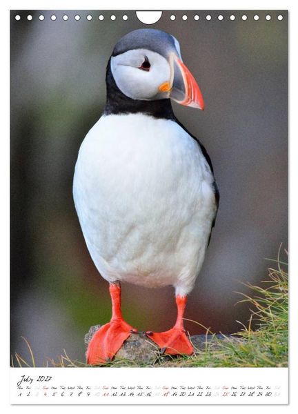 Produktbild: Iceland Calendar 2027 - Discover unique nature - UK Version (Wall Calendar 2027 DIN A4 portrait), CALVENDO 12 Month Wall Calendar