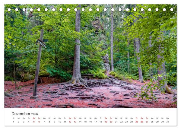 Produktbild: DEUTSCHLAND, S&auml;chsische Schweiz Nationalpark, M&auml;rchenwald (Tischkalender 2026 DIN A5 quer), CALVENDO Monatskalender