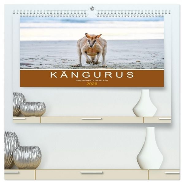 Produktbild: K&auml;ngurus, sprunghafte Gesellen (hochwertiger Premium Wandkalender 2026 DIN A2 quer), Kunstdruck in Hochglanz