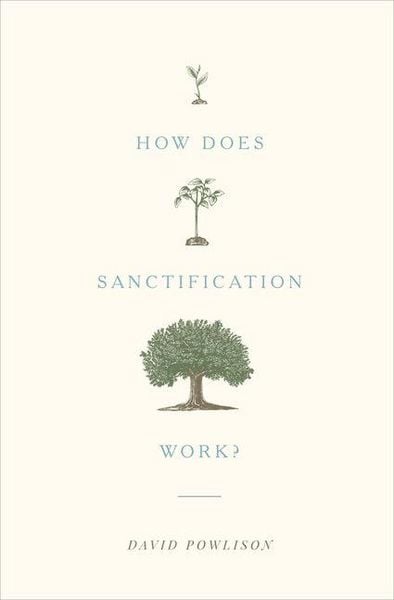 Produktbild: How Does Sanctification Work?