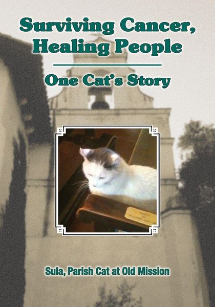 Produktbild: Surviving Cancer, Healing People