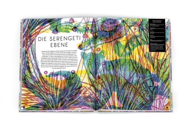 Produktbild: Magische Welten. Entdecke verborgene Lebensr&auml;ume mit der Zauberlupe!