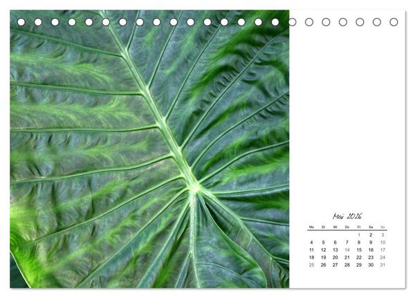 Produktbild: Blattkunst (Tischkalender 2026 DIN A5 quer), CALVENDO Monatskalender
