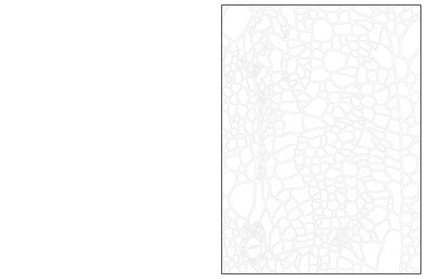 Produktbild: Ausmalen und Entdecken