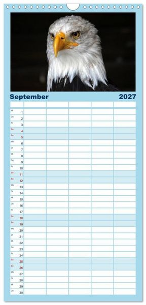 Produktbild: Familienplaner 2027 - Greifv&ouml;gel, Eulen und K&auml;uze mit 5 Spalten (Wandkalender, 21 x 45 cm) CALVENDO