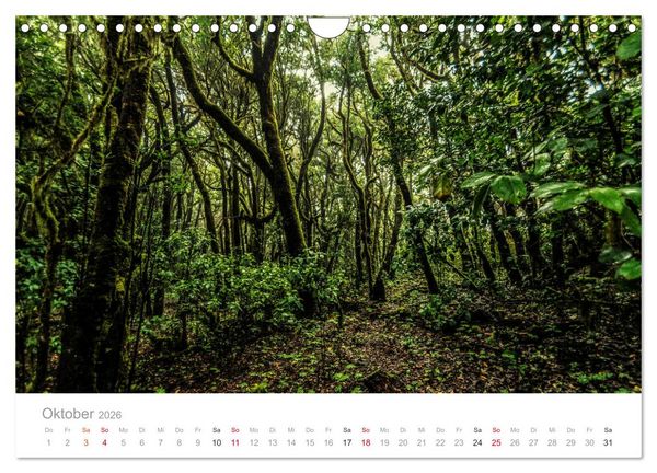 Produktbild: La Gomera &ndash; Die gr&uuml;ne Perle der Kanaren. (Wandkalender 2026 DIN A4 quer), CALVENDO Monatskalender
