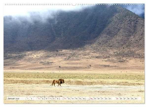 Produktbild: Tansania - Durch die Nationalparks Ostafrikas (Wandkalender 2026 DIN A2 quer), CALVENDO Monatskalender