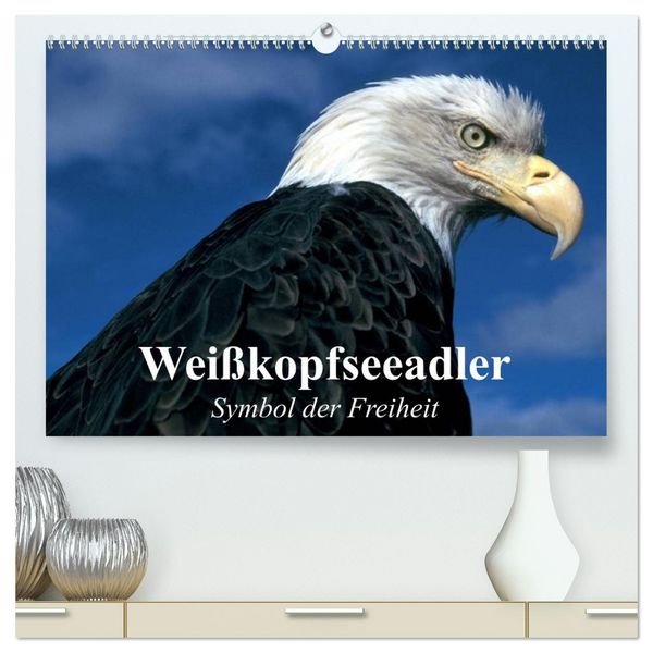 Produktbild: Wei&szlig;kopfseeadler. Symbol der Freiheit (hochwertiger Premium Wandkalender 2026 DIN A2 quer), Kunstdruck in Hochglanz