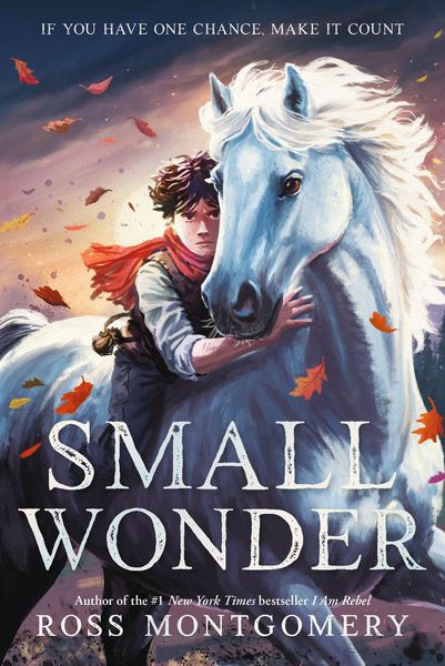 Produktbild: Small Wonder