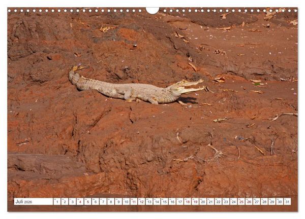 Produktbild: Vielf&auml;ltiges Peru (Wandkalender 2026 DIN A3 quer), CALVENDO Monatskalender