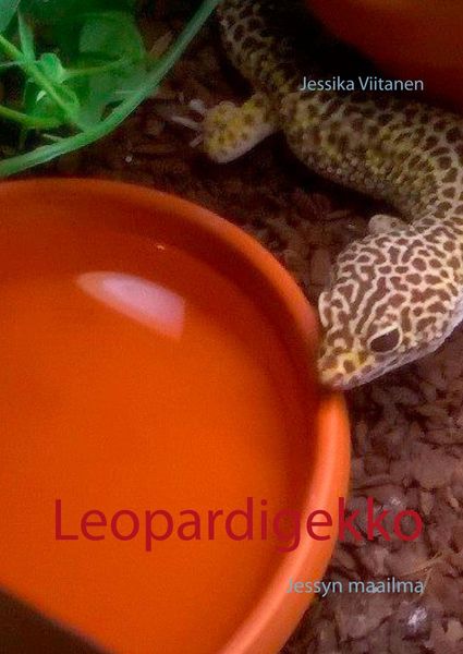 Produktbild: Leopardigekko