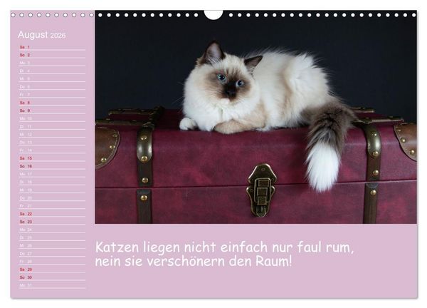 Produktbild: Drollige Tierkinder Mit Spr&uuml;chen (Wandkalender 2026 DIN A3 quer), CALVENDO Monatskalender