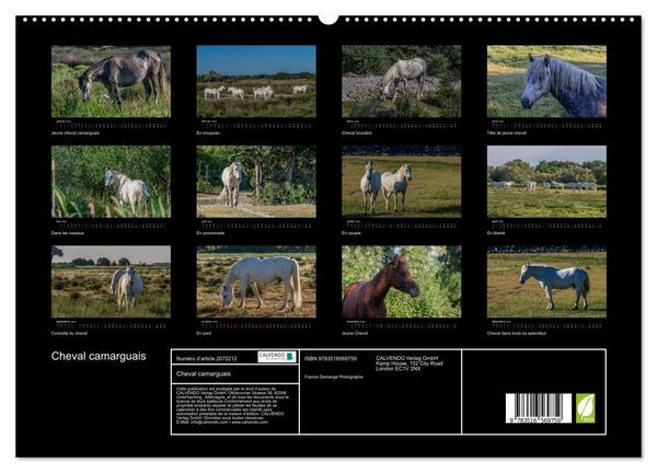 Produktbild: Cheval camarguais (Calendrier mural 2026 DIN A2 vertical) calendrier de bureau