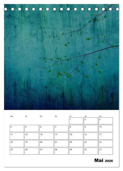 Produktbild: Mauerbl&uuml;mchen - Poesie im Allt&auml;glichen als Monatsplaner (Tischkalender 2026 DIN A5 hoch), CALVENDO Monatskalender