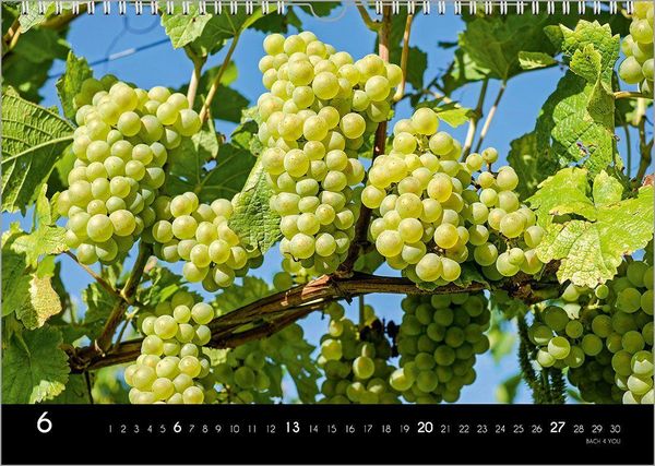 Produktbild: Der Weinkalender 2027, DIN A3 &ndash; ein Fotokalender