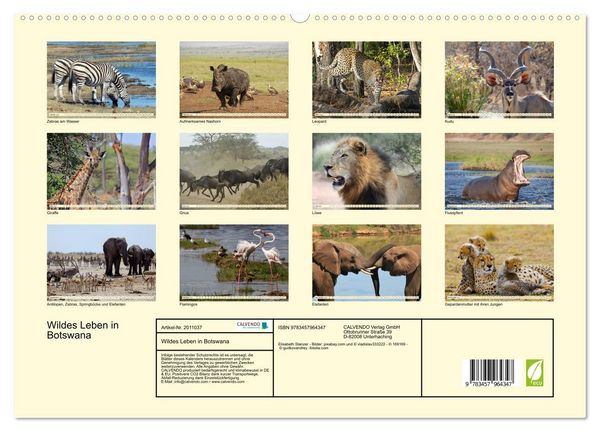 Produktbild: Wildes Leben in Botswana (hochwertiger Premium Wandkalender 2026 DIN A2 quer), Kunstdruck in Hochglanz