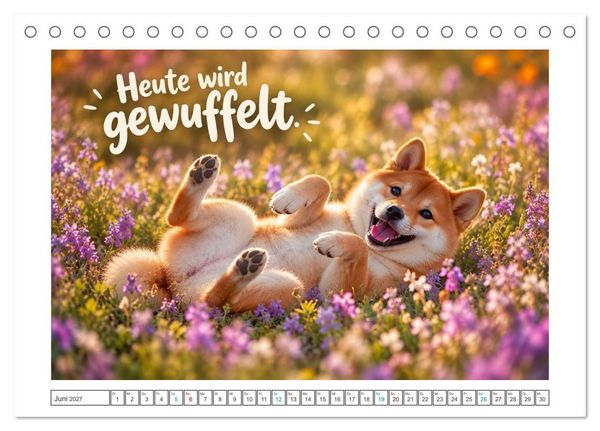 Produktbild: Zum Gl&uuml;ck gibt&rsquo;s Hunde (Tischkalender 2027 DIN A5 quer), CALVENDO Monatskalender