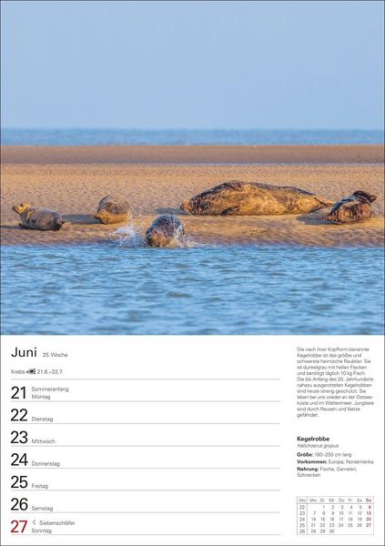 Produktbild: Heimische Tiere Wochenplaner 2027 - 53 faszinierende Fotografien