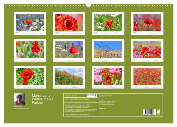 Produktbild: Mohn, zarte Bl&uuml;ten, starke Farben (Wandkalender 2026 DIN A2 quer), CALVENDO Monatskalender