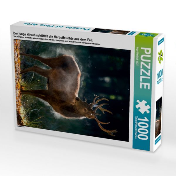 Produktbild: CALVENDO Puzzle Der junge Hirsch sch&uuml;ttelt die Herbstfeuchte aus dem Fell. | 1000 Teile Lege-Gr&ouml;&szlig;e 64x48cm Foto-Puzzle f&uuml;r gl&uuml;ckliche Stunden
