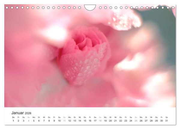 Produktbild: Kirschbl&uuml;tentraum (Wandkalender 2026 DIN A4 quer), CALVENDO Monatskalender