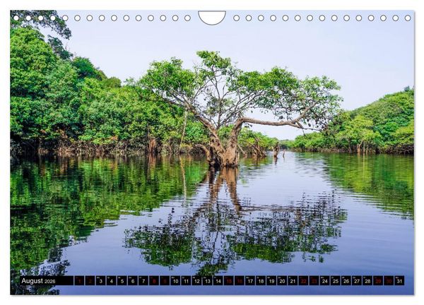 Produktbild: Amazonas - Faszination Regenwald (Wandkalender 2026 DIN A4 quer), CALVENDO Monatskalender