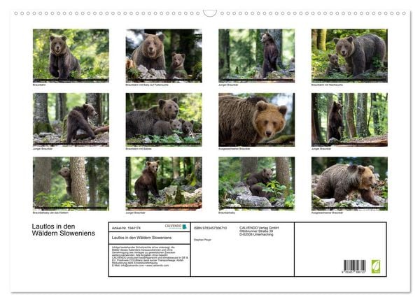 Produktbild: Lautlos in den W&auml;ldern Sloweniens (Wandkalender 2026 DIN A2 quer), CALVENDO Monatskalender