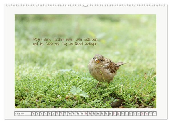 Produktbild: Irische Segensw&uuml;nsche (Wandkalender 2026 DIN A2 quer), CALVENDO Monatskalender