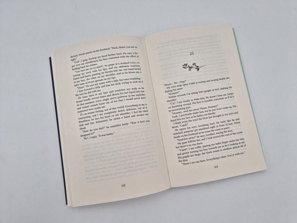 Produktbild: Hidden Scars (English Edition)