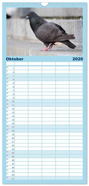 Produktbild: Familienplaner 2026 - Geliebte Tauben mit 5 Spalten (Wandkalender, 21 x 45 cm) CALVENDO