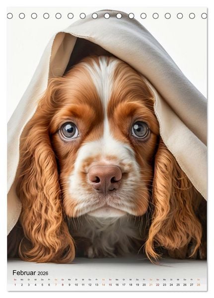 Produktbild: Cocker Spaniel - ein Hund f&uuml;r die Familie (Tischkalender 2026 DIN A5 hoch), CALVENDO Monatskalender