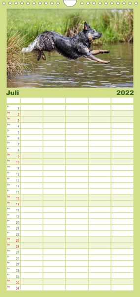 Produktbild: Spaziergang am See Australian Cattle Dogs - Familienplaner hoch (Wandkalender 2022 , 21 cm x 45 cm, hoch)