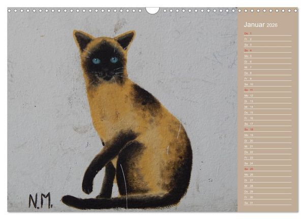 Produktbild: Flensburger Katzen (Wandkalender 2026 DIN A3 quer), CALVENDO Monatskalender
