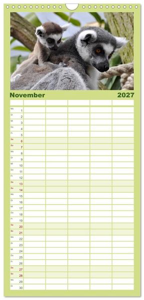 Produktbild: Familienplaner 2027 - Kleine Schelme - Tierbabys mit 5 Spalten (Wandkalender, 21 x 45 cm) CALVENDO