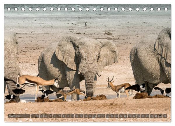 Produktbild: ETOSHA &ndash; Namibia Highlights (Tischkalender 2026 DIN A5 quer), CALVENDO Monatskalender