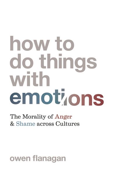 Produktbild: How to Do Things with Emotions
