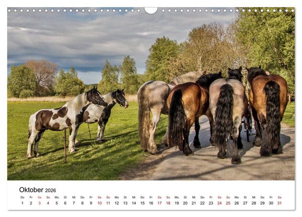Produktbild: Ein Tag auf der Insel Hiddensee (Wandkalender 2026 DIN A3 quer), CALVENDO Monatskalender
